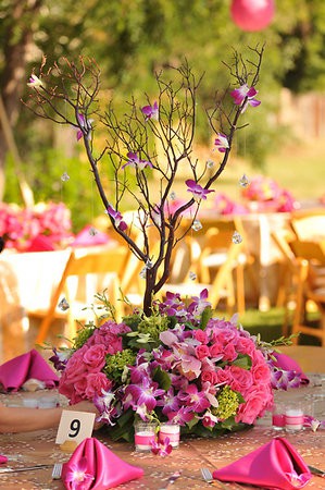  Curly Willow branches decorated with orchids at wedding receptions