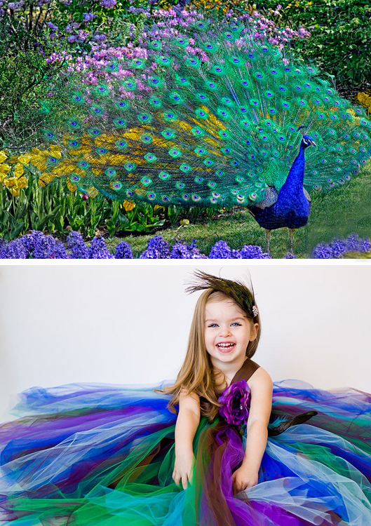 Peacock and Flower Girl