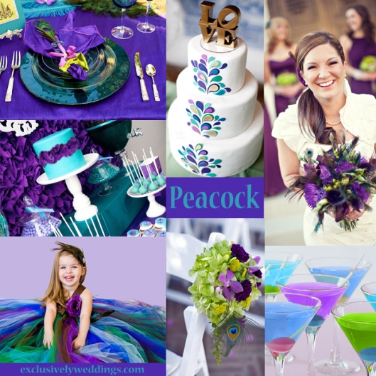 Peacock-Colors-Wedding-1