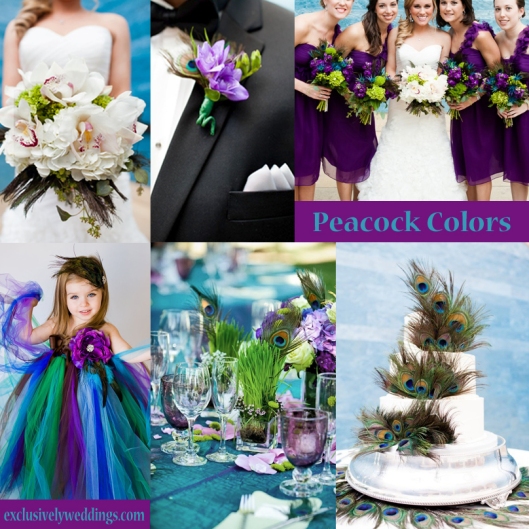 Peacock-Colors-Wedding-2