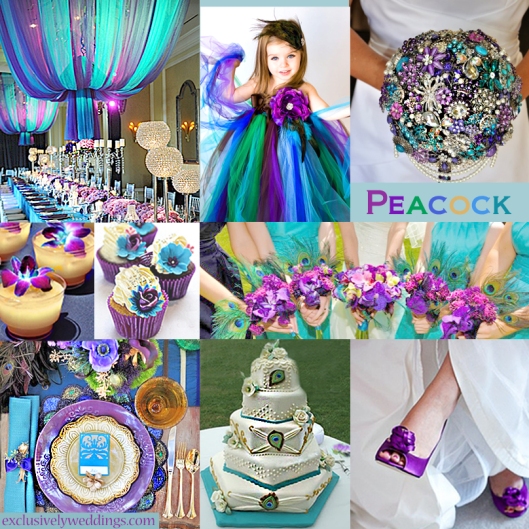 Peacock Wedding Colors 