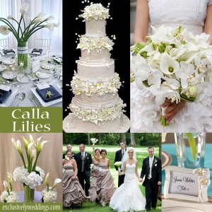 Calla Lily Wedding Theme