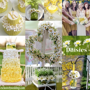 Daisies Wedding Theme