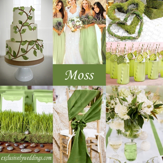 Moss Green Wedding Color Theme
