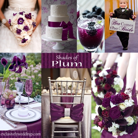 Plum_Wedding_Color