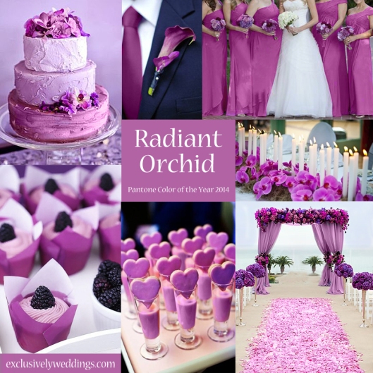 Radiant Orchid Wedding 