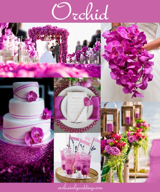Orchid_Wedding_Color