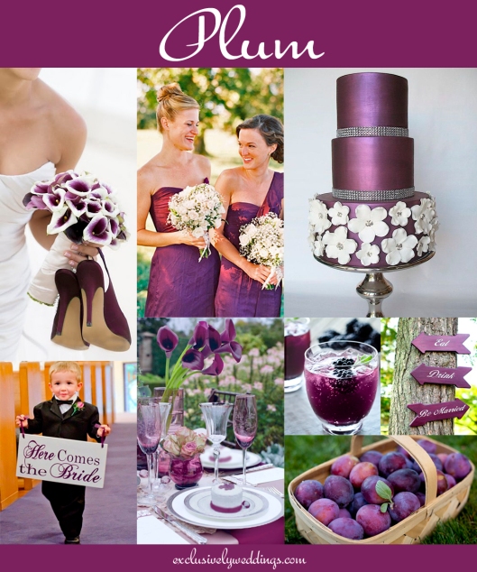 Plum_Wedding_Color_Blog_Exclusively_Weddings