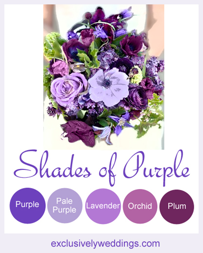 Shades_of_Purple